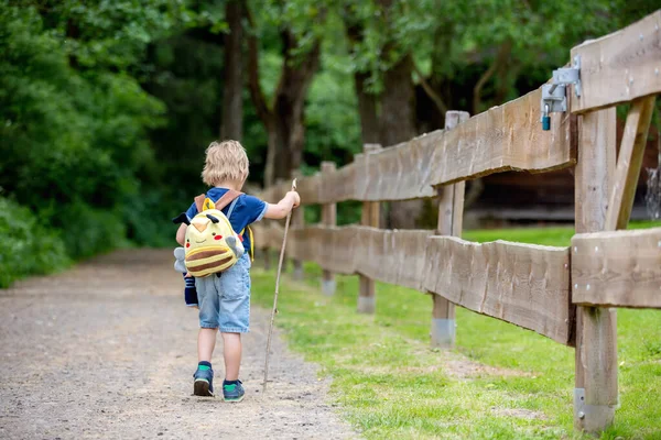 小さな幼児 男の子 公園のフェンスの横の小さな道を歩いて 夏の日にハイキング — ストック写真