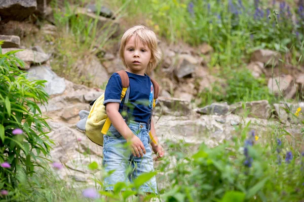 Niedliches Blondes Kleinkind Blonder Junge Posiert Park Sommer — Stockfoto