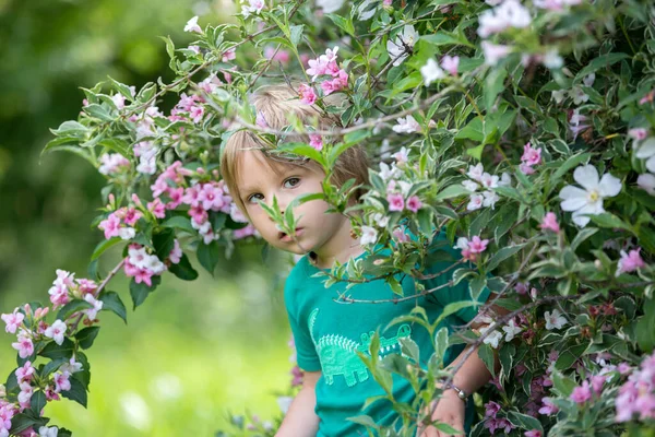 Милый Маленький Ребенок Стоящий Рядом Красивым Цветочным Кустом Весеннем Парке — стоковое фото