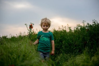 Gün batımında parkta bisiklete binen tatlı küçük çocuk.
