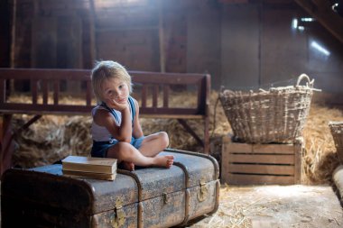 Tatlı çocuk, sarışın çocuk, tavan arasında büyük bir bavula oturmuş, pencereden üzgün bir şekilde bakıyor.