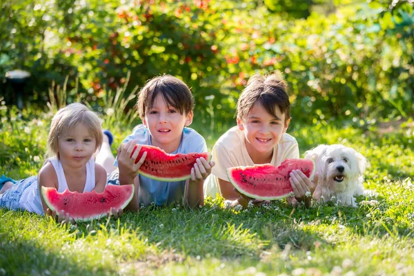 Trois Enfants Frères Sœurs Chien Compagnie Mangeant Pastèque Dans Jardin — Photo