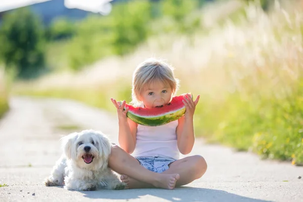可爱的金发孩子 蹒跚学步的男孩和宠物狗 在花园里吃西瓜 — 图库照片