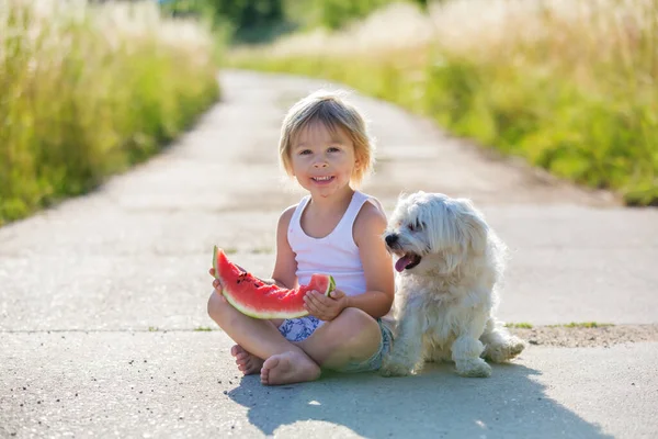 Χαριτωμένο Ξανθό Παιδί Αγοράκι Και Σκυλάκι Τρώει Καρπούζι Στον Κήπο — Φωτογραφία Αρχείου
