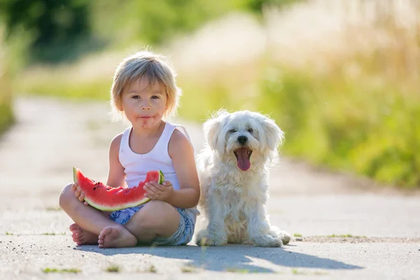 可爱的金发孩子 蹒跚学步的男孩和宠物狗 在花园里吃西瓜 — 图库照片