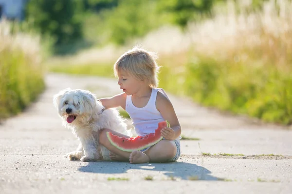 Lindo Niño Rubio Niño Pequeño Perro Mascota Comer Sandía Jardín —  Fotos de Stock