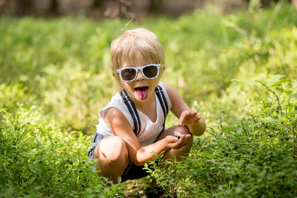 Bambino Biondo Bambino Mangiare Mirtilli Selvatici Nella Foresta Raccogliendoli Lui — Foto Stock