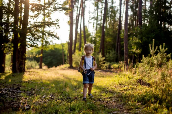 Children Playing Forest Summer Day Having Family Trip — Stock Photo, Image