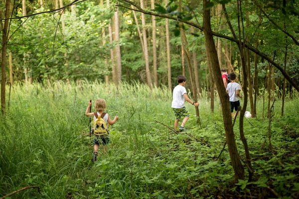 Kinder Einem Sommertag Wald Spielen Familienausflug — Stockfoto