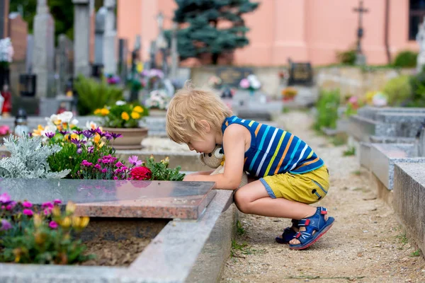 Μικρό Αγοράκι Κάθεται Ένα Νεκροταφείο Νιώθει Λυπημένος Έναν Τάφο — Φωτογραφία Αρχείου