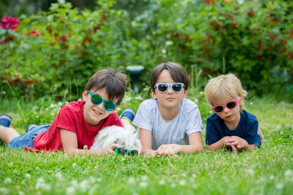 Drie Kinderen Schattige Witte Puppy Huisdier Hond Met Zonnebril Plezier — Stockfoto