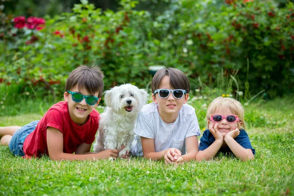 Drei Kinder Und Süße Weiße Welpen Hund Mit Sonnenbrille Spaß — Stockfoto