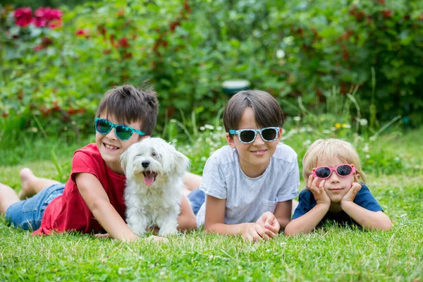 Three Children Cute White Puppy Pet Dog Sunglasses Having Fun Royalty Free Stock Images