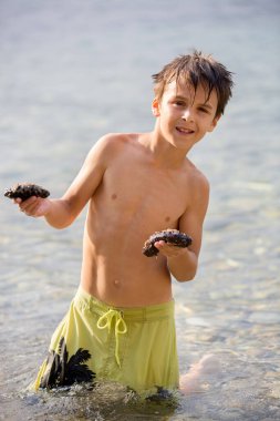 Preteen child, hodling mediterranean sea cucumber on the beach clipart