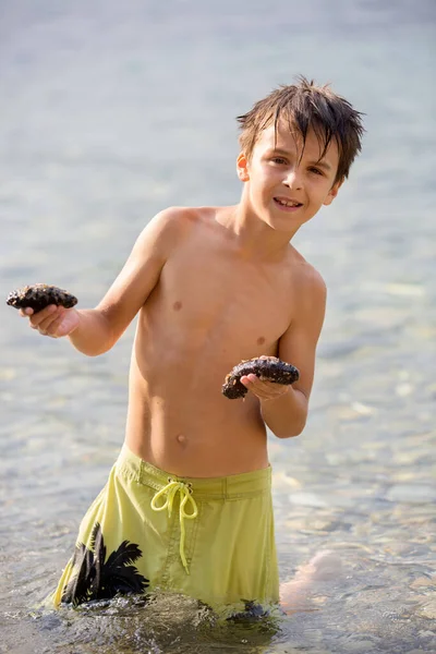 Preteen Bambino Hodling Cetriolo Mare Mediterraneo Sulla Spiaggia — Foto Stock