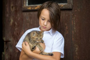 Sevimli çocuk, oğlum, okuldan önce parkta küçük kahverengi kediyle oynuyor.