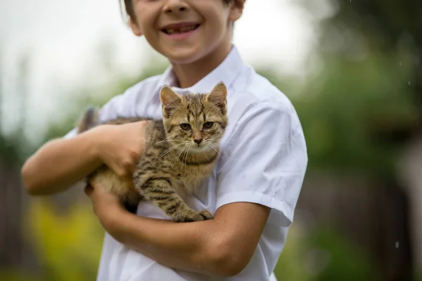 可爱的孩子 放学前在公园里和棕色的小猫咪玩耍 — 图库照片