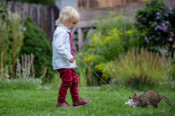 Söta Barn Pojke Leker Med Lilla Bruna Kattungen Parken Innan — Stockfoto