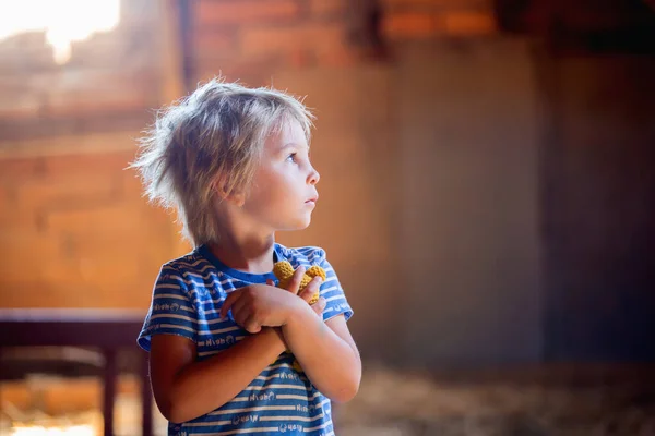 Liten Liten Blond Pojke Hålla Liten Stickad Nalle Ser Ledsen — Stockfoto