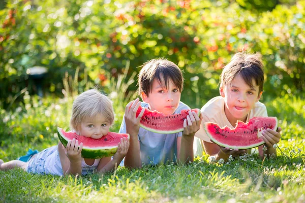 Three Children Siblings Pet Dog Eating Watermelon Garden Summertime — Stock Photo, Image