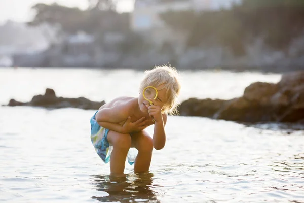 Lindo Niño Niño Usando Lupa Para Examinar Conchas Marinas Playa — Foto de Stock