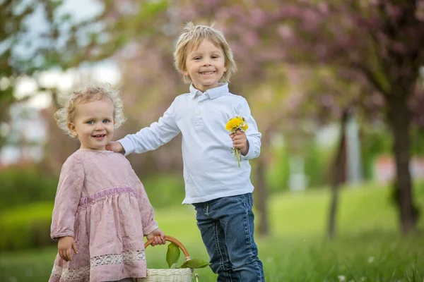 Crianças Bonitas Menino Menina Brincando Juntos Jardim Flor Cerejeira Menino — Fotografia de Stock