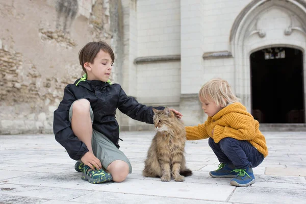 Peuter Kind Jongen Spelen Met Een Enorme Kat Straat Een — Stockfoto