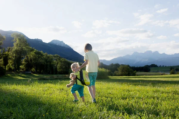 Randonnées Pour Enfants Dans Les Alpes Enfants Marchant Extérieurdans Champ — Photo