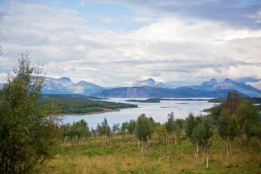 Norveç 'te fiyortları, ağaçları ve güzel gökyüzü olan güzel bir manzara.