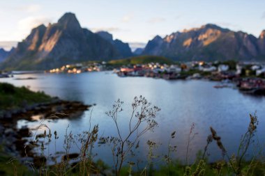 Lofoten köyündeki tipik Rourbuer balıkçı kulübeleri, yağmurlu bir günde, yaz mevsiminde. Geleneksel Norveç ahşap ev bombacısı Reine köyünde