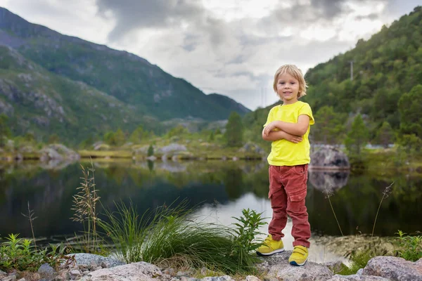 美しいブロンドの子供 かわいい男の子 ロフトテンのフィヨルドの端に立って 景色を楽しむ — ストック写真