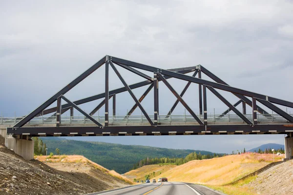 Beau Paysage Avec Pont Sur Route Norvège Nordland — Photo