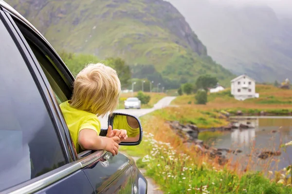 Симпатичный Ребенок Выглядывающий Окна Машины Глядя Красивый Пейзаж Норвежском Лоффене — стоковое фото