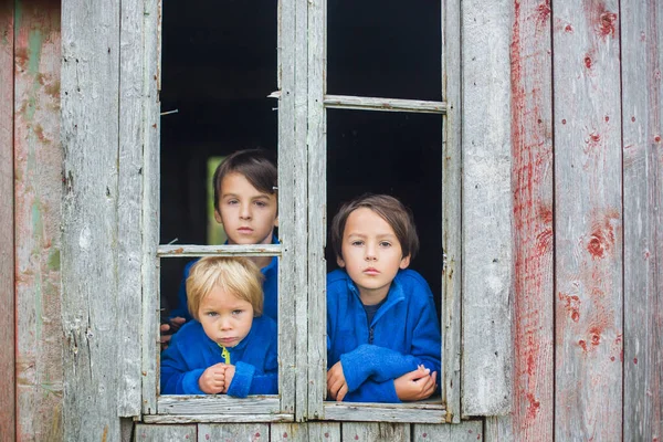 Niños Tristes Mirando Por Ventana Del Viejo Edificio Ruinas Noruega — Foto de Stock