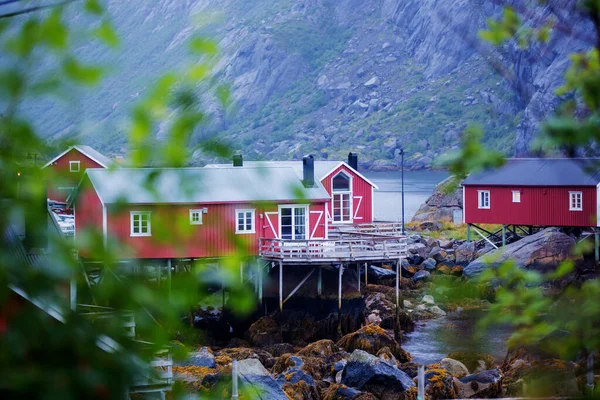 Typiska Rourbuer Fiskestugor Lofoten Byn Nusfjord Regnig Dag Sommar Traditionell — Stockfoto