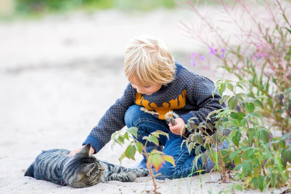 Beautiful Blond Toddler Child Little Cat Beach Hugging Friendship Kid — Stock Photo, Image