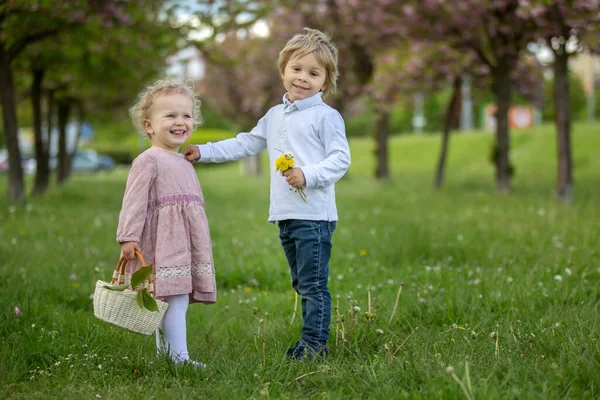 Belas Crianças Menino Menina Brincando Juntos Jardim Flor Cerejeira Correndo — Fotografia de Stock