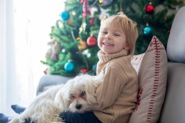 Küçük tatlı bir çocuk. Oğlum, Noel ağacının önünde Noel 'de evde yavru köpeğe sarılıyor.