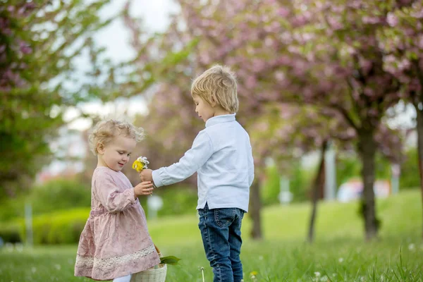 Красиві Діти Маленький Хлопчик Дівчинка Граються Разом Саду Вишневого Цвітіння — стокове фото