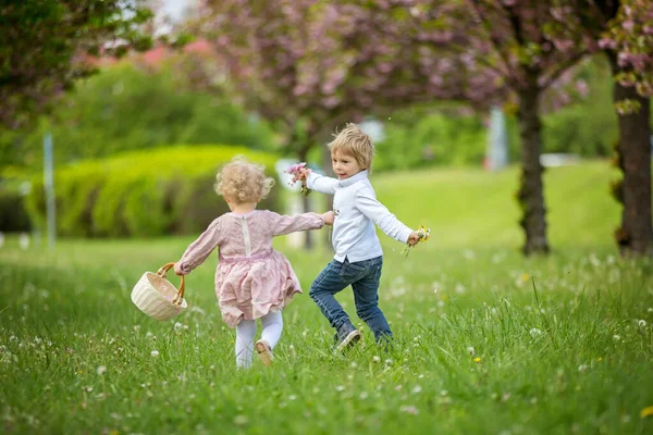 美しい子供たち 幼児の男の子と女の子 一緒に桜の庭で遊んで 一緒に走り 喜びと笑顔 子供の友情 幸せな子供時代 — ストック写真