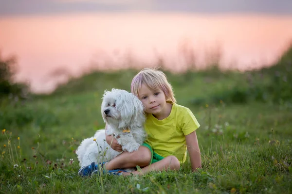 Nettes Vorschulkind Blonder Junge Mit Rosa Streifen Haar Der Bei — Stockfoto