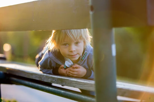 Nära Porträtt Ett Gulligt Blont Barn Pojke Liggande Bänk Parken — Stockfoto