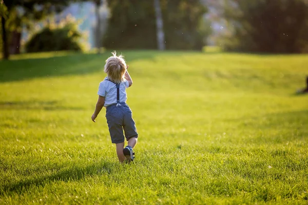 Cute Preschool Child Playing Park Sunset Royalty Free Stock Photos