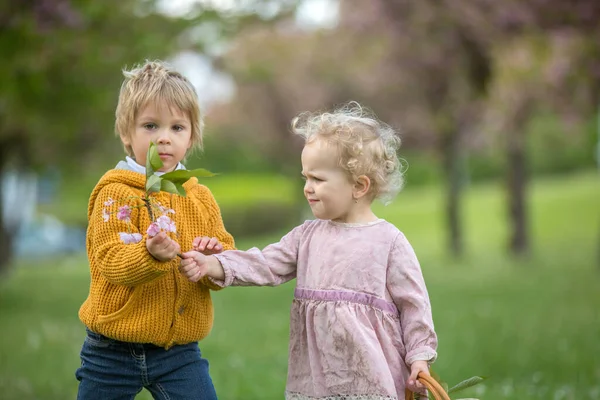 美しい子供たち 幼児の男の子と女の子は 一緒に桜の庭で遊んで 男の子は女の子に野生の花の小さな花束を与えます 子供の友情 幸せな子供時代 — ストック写真