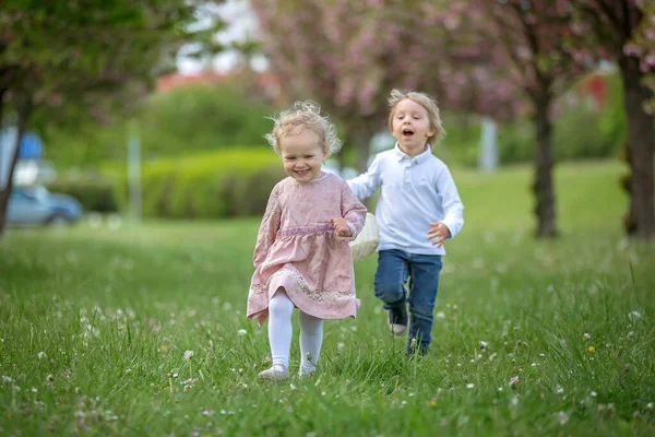 Hermosos Niños Niño Niña Jugando Juntos Jardín Flores Cerezo Corriendo —  Fotos de Stock