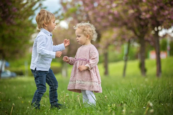 Hermosos Niños Niño Niña Jugando Juntos Jardín Flores Cerezo Niño —  Fotos de Stock