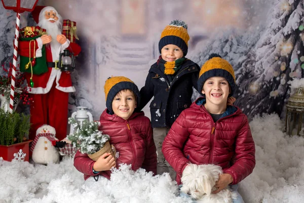 Tři Děti Sourozenci Hrající Sněhu Malým Štěňátkem Baví Spolu — Stock fotografie