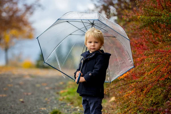 Doux Tout Petit Blond Enfant Mignon Garçon Jouer Dans Parc — Photo