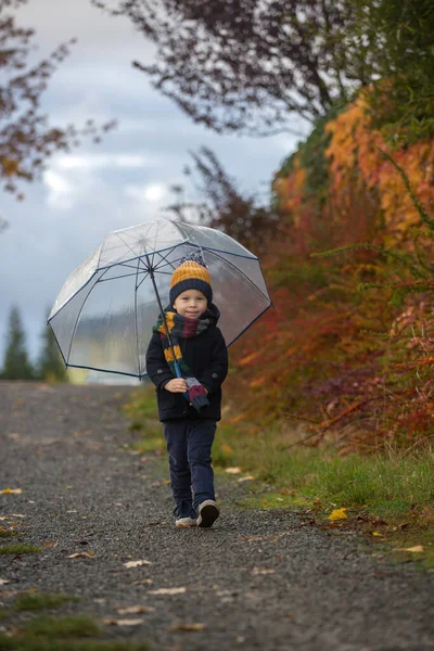 Sweet Toddler Blond Child Cute Boy Playing Autumn Park Colofrul — Stock Photo, Image