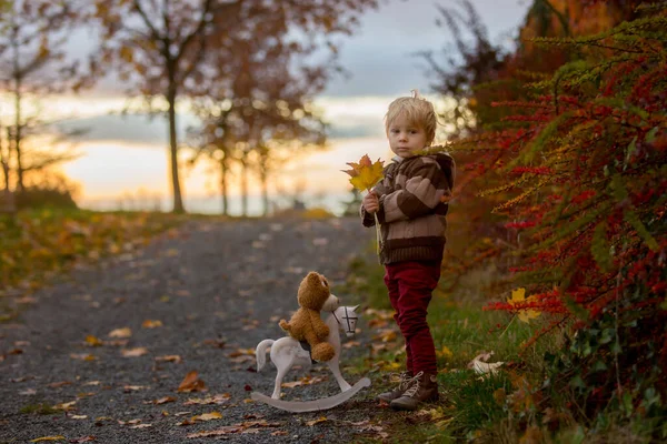 Beuatiful Barn Pojke Med Nalle Leka Med Trä Häst Parken — Stockfoto